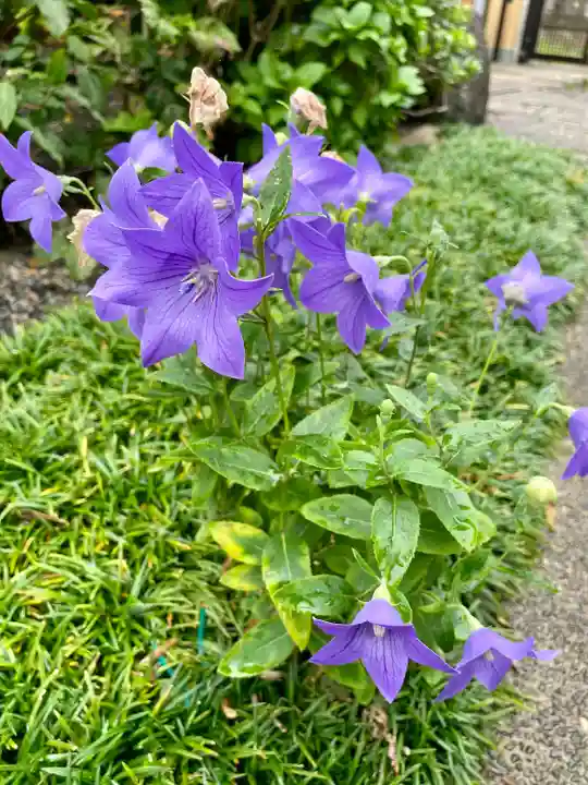 功徳林寺(東京都)