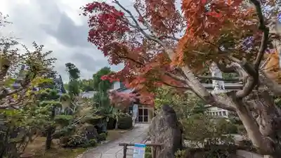正法寺(京都府)