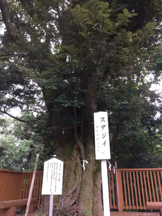 石神神社の自然