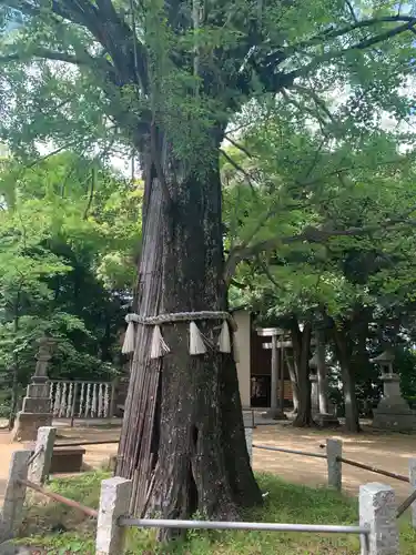赤坂氷川神社(東京都)