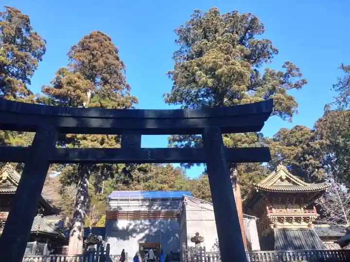輪王寺の鳥居