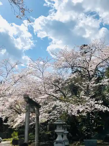 金嶽神社(茨城県)