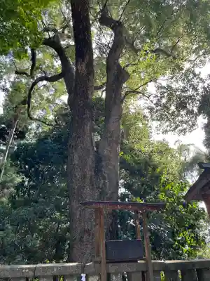 久能山東照宮(静岡県)