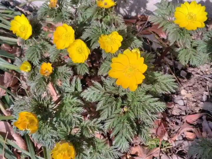 阿邪訶根神社(福島県)