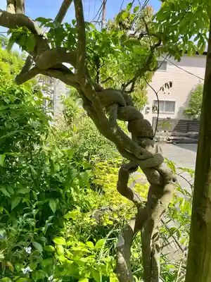 大巧寺(神奈川県)