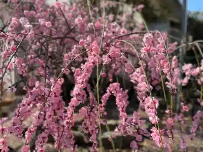 和泉國一之宮　大鳥大社(大阪府)