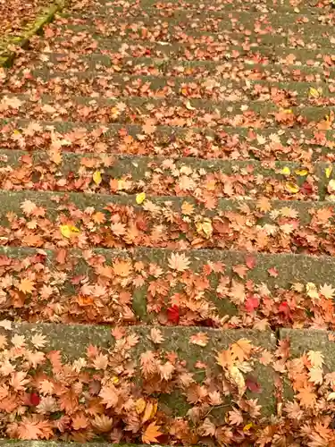 飛騨東照宮の景色