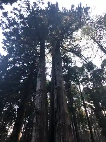 御岩神社の自然
