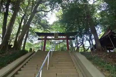 氷川女體神社(埼玉県)