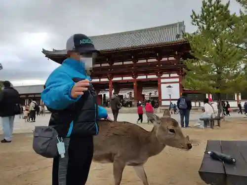 東大寺の山門・神門