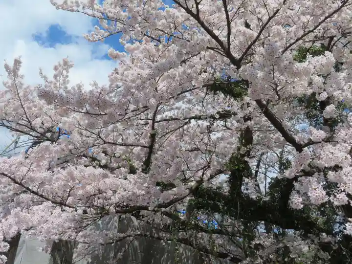 妙徳寺(福島県)