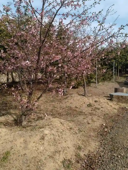 白山姫神社(宮城県)