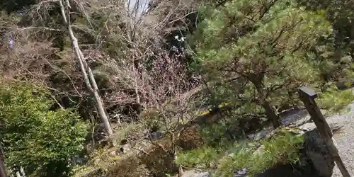 出雲大神宮の庭園