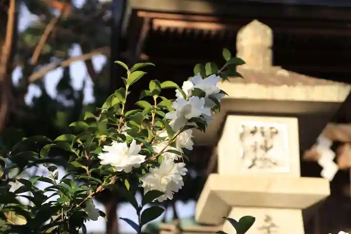 豊景神社の自然