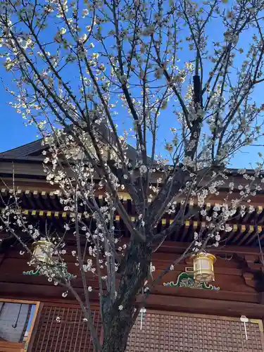 湯島天満宮(東京都)