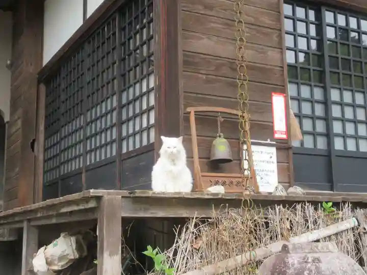 光珠院(埼玉県)