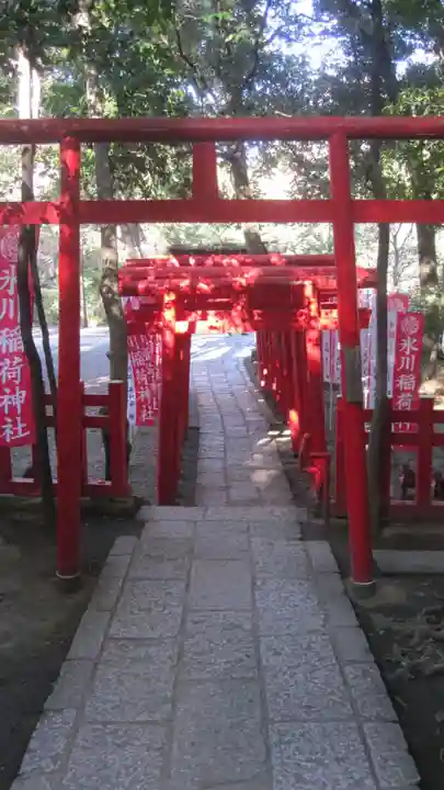 武蔵一宮氷川神社(埼玉県)