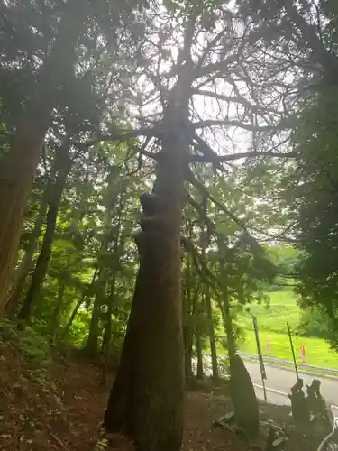 月山神社(岩手県)