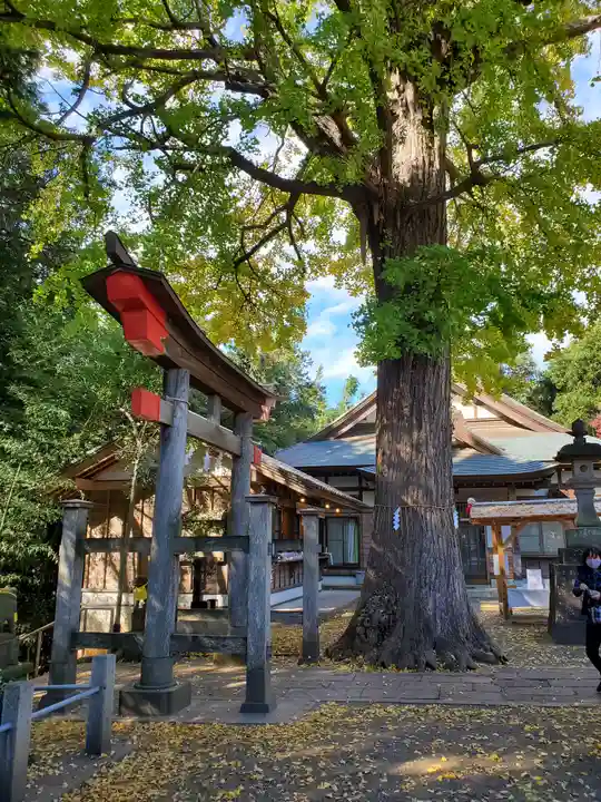 下総国三山 二宮神社の鳥居