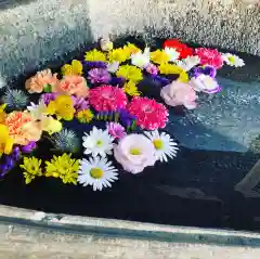 鹿島台神社の手水