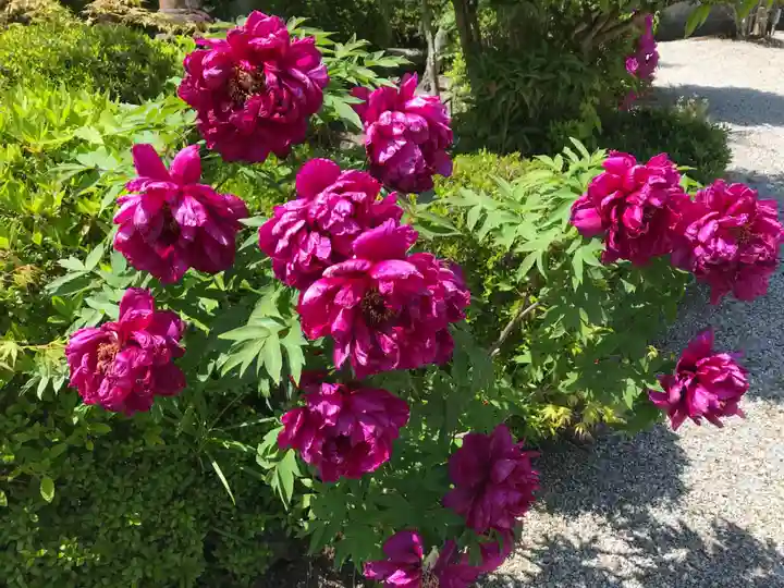 櫟野寺(滋賀県)