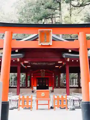 九頭龍神社新宮の{uncategorized: "未分類", other: "その他", undefined: "問題あり", building: "その他建物", grave: "お墓", sacred_gate: "鳥居", guardian: "狛犬", statue: "像", buddha: "仏像", history: "歴史", nature: "自然", garden: "庭園", animal: "動物", pagoda: "塔", temizu: "手水舎", mountain_gate: "山門・神門", sanctuary: "本殿・本堂", subordinate: "末社・摂社", art: "芸術", scenery: "景色", jizo: "地蔵", ema: "絵馬", goshuin: "御朱印", omikuji: "おみくじ", items: "授与品その他", amulet: "お守り", goshuincho: "御朱印帳", eats: "食事", festival: "お祭り", votive_dance: "神楽", shichigosan: "七五三参", wedding: "結婚式", experience: "体験その他", initially: "初詣", around: "周辺", anti_infection: "感染症対策"}