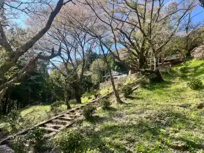 仏隆寺の{uncategorized: "未分類", other: "その他", undefined: "問題あり", building: "その他建物", grave: "お墓", sacred_gate: "鳥居", guardian: "狛犬", statue: "像", buddha: "仏像", history: "歴史", nature: "自然", garden: "庭園", animal: "動物", pagoda: "塔", temizu: "手水舎", mountain_gate: "山門・神門", sanctuary: "本殿・本堂", subordinate: "末社・摂社", art: "芸術", scenery: "景色", jizo: "地蔵", ema: "絵馬", goshuin: "御朱印", omikuji: "おみくじ", items: "授与品その他", amulet: "お守り", goshuincho: "御朱印帳", eats: "食事", festival: "お祭り", votive_dance: "神楽", shichigosan: "七五三参", wedding: "結婚式", experience: "体験その他", initially: "初詣", around: "周辺", anti_infection: "感染症対策"}
