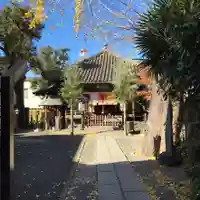 橋場寺不動院(橋場不動尊)の本殿・本堂