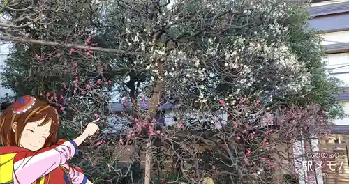 とげぬき地蔵尊 高岩寺の自然