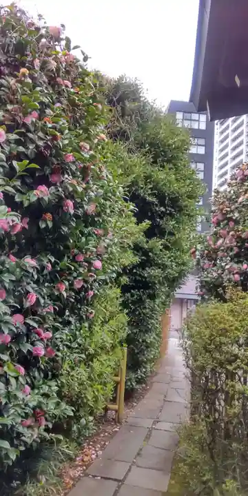 白金氷川神社(東京都)