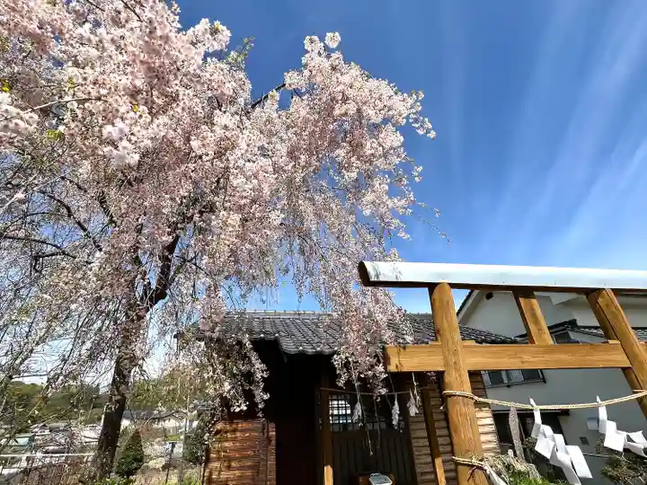 新海三社神社(長野県)