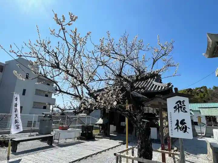 飯塚天満宮(曩祖八幡宮境内社)の自然