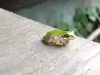 神明社(福井県)