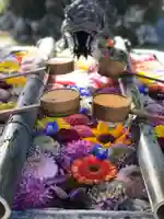 柳谷観音 楊谷寺の手水舎