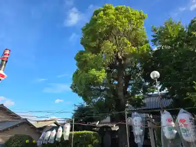 極楽寺(大阪府)