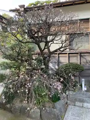 東漸寺(神奈川県)