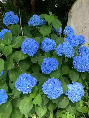 円城寺(長野県)