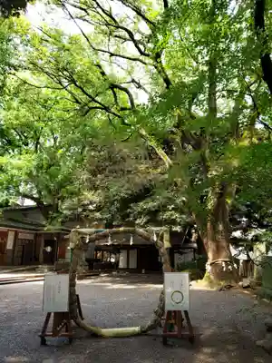 乃木神社(東京都)