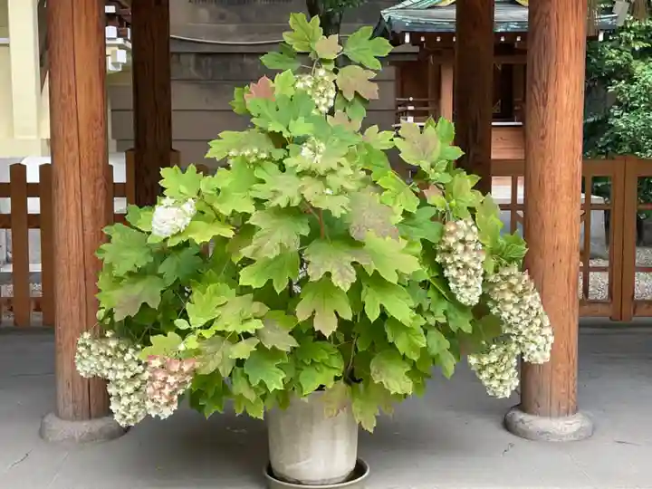 坐摩神社の自然