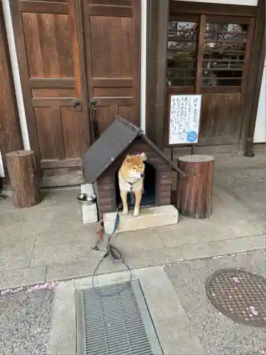 感通寺(東京都)