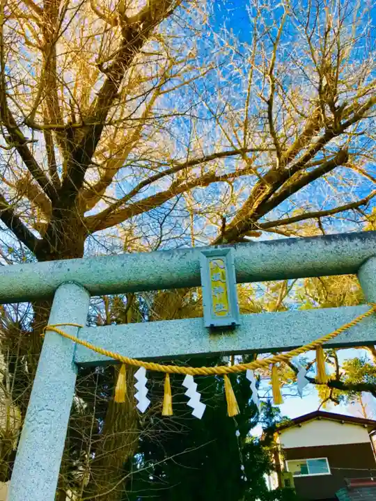 龍ケ崎八坂神社のその他建物