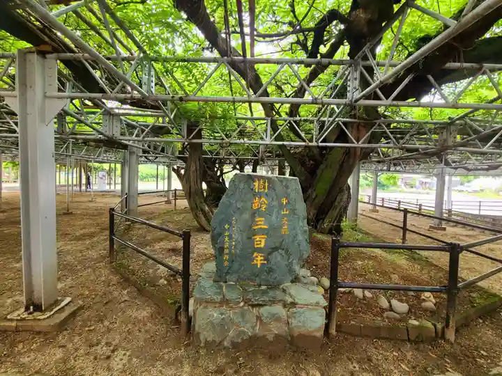 中山熊野神社(福岡県)