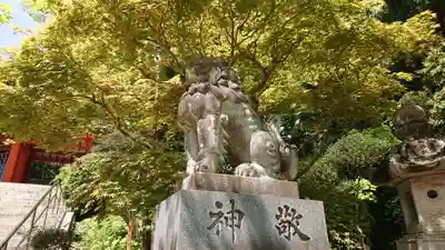 香取神宮の狛犬