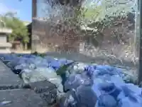 宮地嶽神社(福岡県)