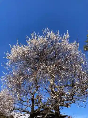 法輪寺(神奈川県)