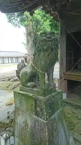 若宮神社の狛犬