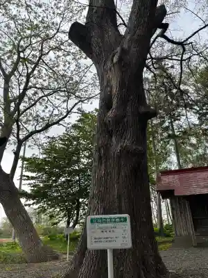 越後神社(北海道)