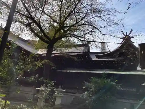 熊野神社の本殿・本堂