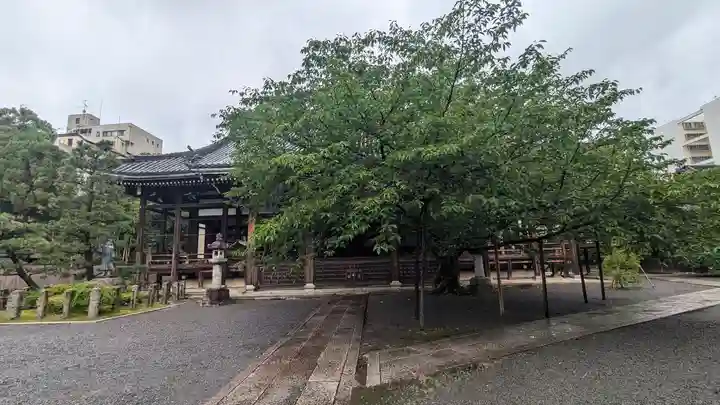 本法寺(京都府)