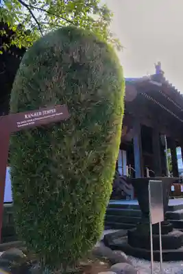 寛永寺(根本中堂)(東京都)